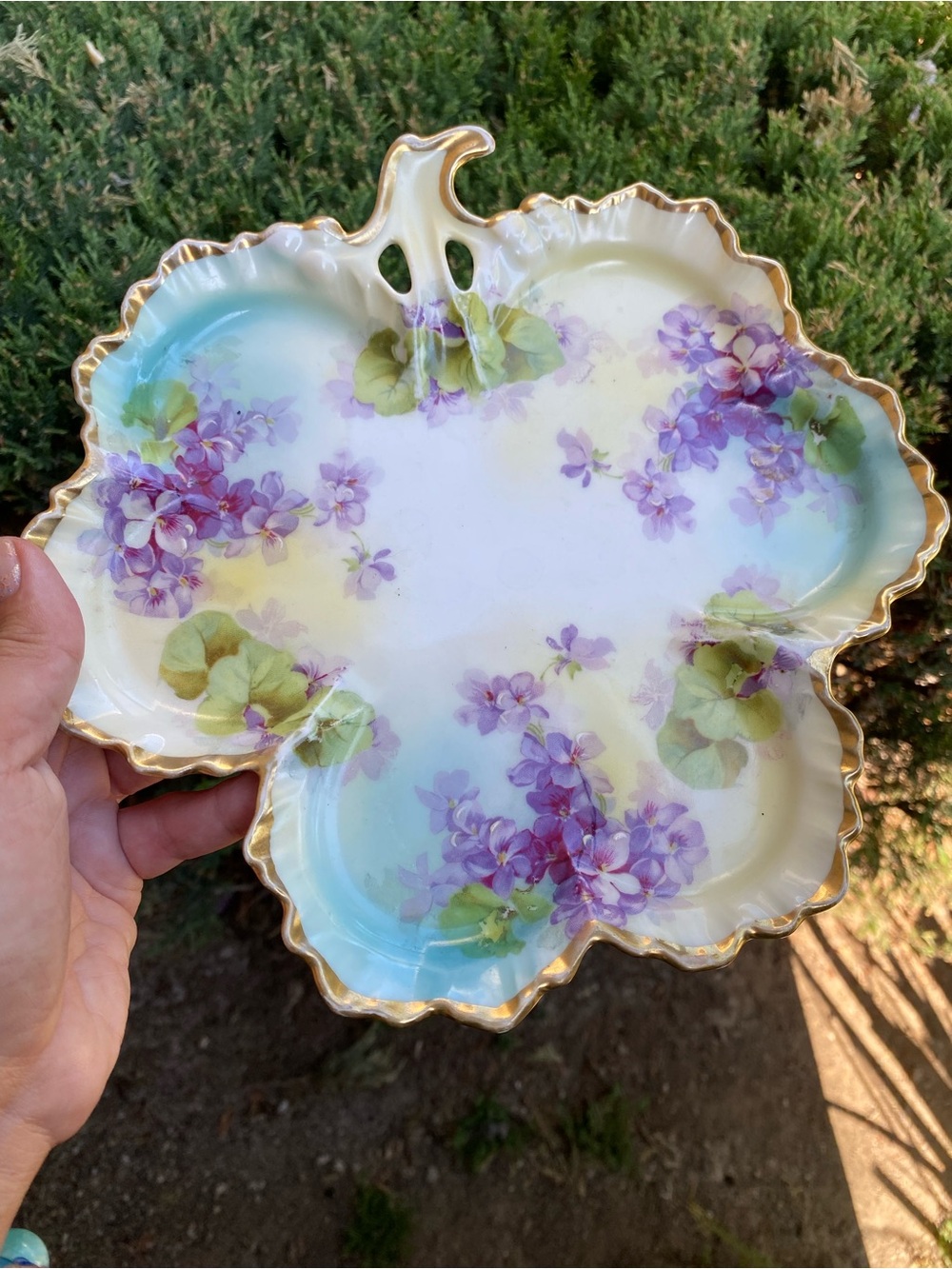 ROYAL RUDOLSTADT HAND PAINTED CHINA PURPLE VIOLETS DISH PLATE PRUSSIAN